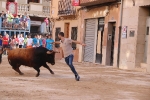 Bous betxí dimecres