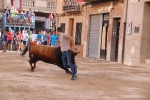 Bous betxí dimecres