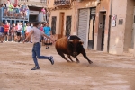 Bous betxí dimecres