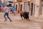 Bous betxí dimecres