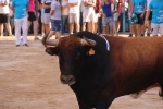 Bous betxí dimecres
