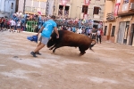 Bous betxí dimecres