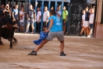 Bous betxí dimecres