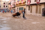 Bous betxí dimecres