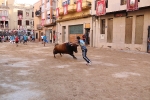 Bous betxí dimecres