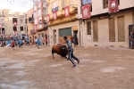Bous betxí dimecres