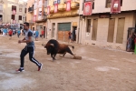 Bous betxí dimecres