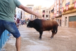 Bous betxí dimecres