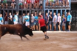 Bous betxí dimecres