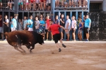Bous betxí dimecres