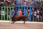 Bous betxí dimecres