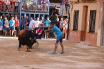Bous betxí dimecres