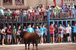 Bous betxí dimecres