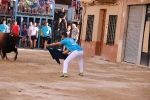 Bous betxí dimecres