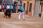 Bous betxí dimecres