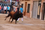 Bous betxí dimecres