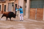Bous betxí dimecres