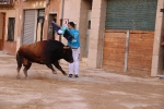 Bous betxí dimecres