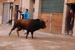 Bous betxí dimecres