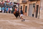 Bous betxí dimecres