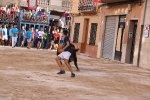 Bous betxí dimecres