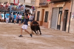 Bous betxí dimecres