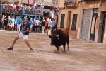 Bous betxí dimecres