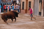Bous betxí dimecres