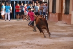 Bous betxí dimecres