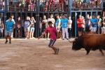 Bous betxí dimecres