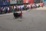 Almenara s'ompli fins a la bandera per a les exhibicions taurines