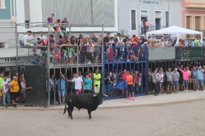 Fotografia /Galeria/2019/9/188833_115471/3_M1.jpg