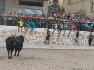 Fotografia /Galeria/2019/9/188833_115471/5_M1.jpg