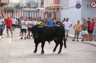 Fotografia /Galeria/2019/9/188856_115503/4_M1.jpg