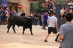 Betxí tanca les exhibicions taurines ambo bous de Talavante i Pascual Alcalá