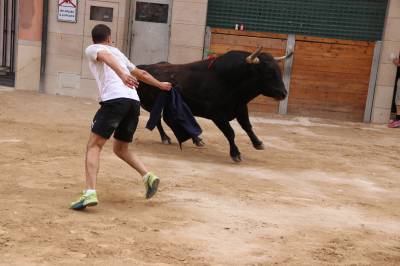 Betx tanca les exhibicions taurines ambo bous de Talavante i Pascual Alcal