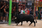 Betxí tanca les exhibicions taurines ambo bous de Talavante i Pascual Alcalá