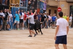Betxí tanca les exhibicions taurines ambo bous de Talavante i Pascual Alcalá
