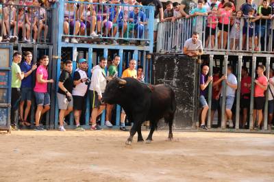 Fotografia /Galeria/2019/9/188864_115499/2_M1.jpg