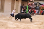 Betxí tanca les exhibicions taurines ambo bous de Talavante i Pascual Alcalá