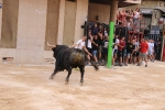 Betxí tanca les exhibicions taurines ambo bous de Talavante i Pascual Alcalá