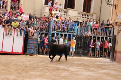 Fotografia /Galeria/2019/9/188864_115499/3_M1.jpg