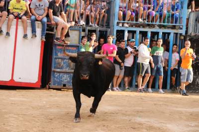 Fotografia /Galeria/2019/9/188864_115499/4_M1.jpg