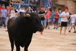 Betxí tanca les exhibicions taurines ambo bous de Talavante i Pascual Alcalá