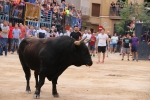 Betxí tanca les exhibicions taurines ambo bous de Talavante i Pascual Alcalá