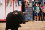 Betxí tanca les exhibicions taurines ambo bous de Talavante i Pascual Alcalá