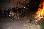 La Vilavella celebra Sant Antoni