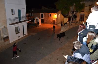 Fotografia /Galeria/2020/1/192410_118549/2_M1.jpg