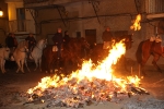 La Matxà con la Recua Arriera y las 43 hogueras y 6.000 prims protagonistas del Sant Antoni de Alcora 2020
