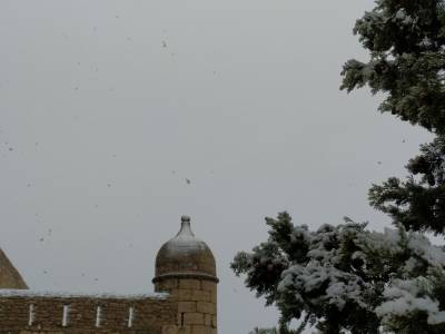 Fotografia /Galeria/2020/1/192436_118574/2_M1.jpg